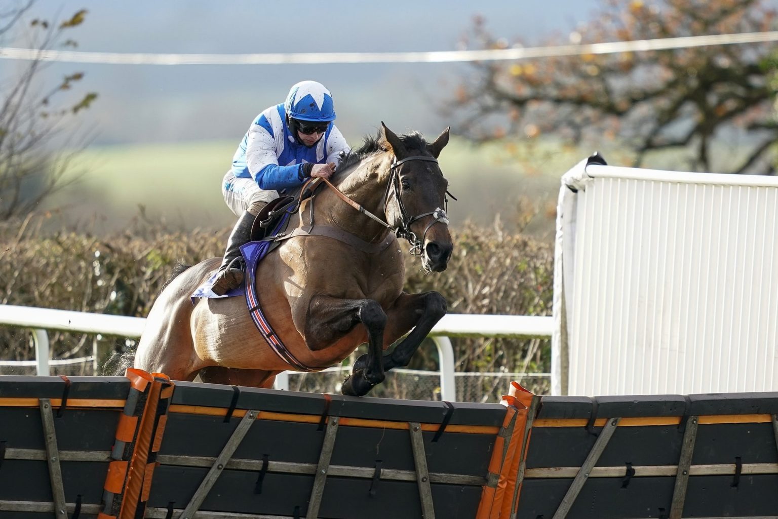 The Racing Analyst Pro Horse Racing & Football Tips